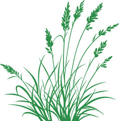 Green grass plant illustration isolated on white background. Detailed botanical foliage vector perfect for eco, garden, nature, and decorative artwork. Elegant natural greenery design.