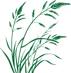 Green grass plant illustration isolated on white background. Detailed botanical foliage vector perfect for eco, garden, nature, and decorative artwork. Elegant natural greenery design.