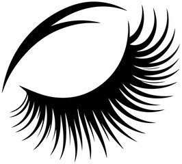 Elegant eyelash design for beauty salon branding and makeup artist promotion material
