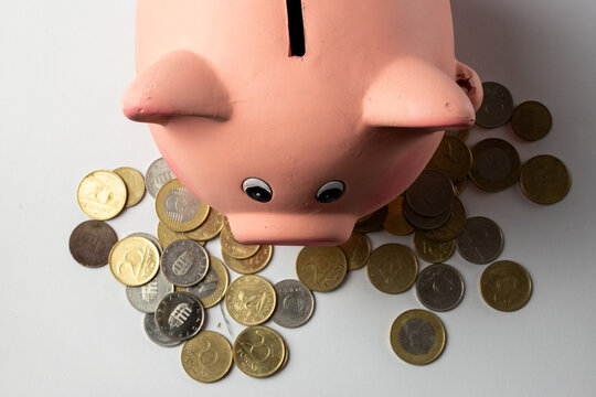 Piggy bank and hungarian forint coins
