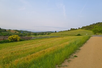 들판 구름 경작 대지 경치