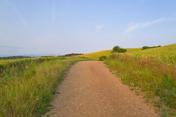 들판 구름 경작 대지 경치