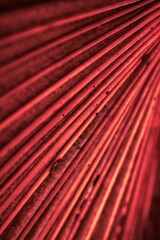 close up of red metal texture
