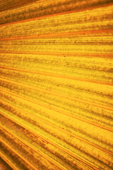 abstract background with lines