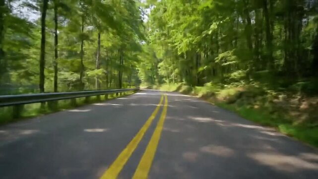  A first-person view of a car driving down a winding road through a dense, green forest.