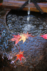 京都祇王寺の紅葉01