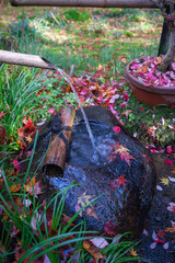 京都祇王寺の紅葉02
