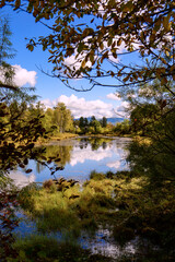 Obraz premium Autumn landscape with a small river and birches on the shore
