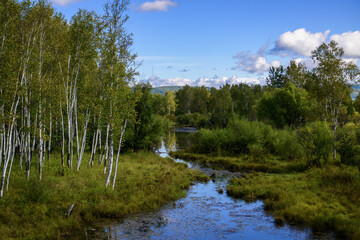 Autumn landscape with a small river and birches on the shore