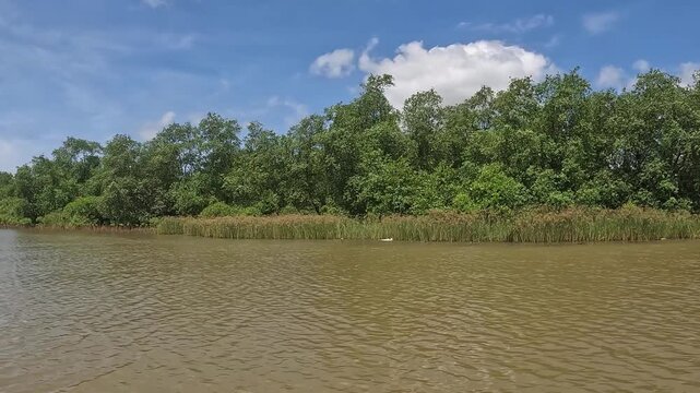 Beautiful video of the backwaters of honnavar with lake and forest view during the boat ride at Honnavar, Udupi, Karnataka, India