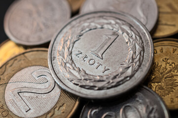 Polish zloty national currency	