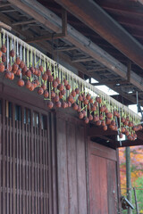 京都洛北の吊るし柿