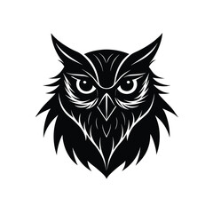 owl on white background