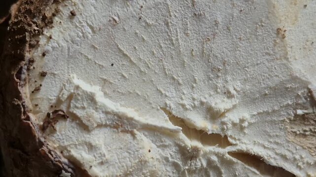close-up photo of the texture of raw, cut cassava