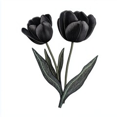 Black tulip blossom flower with leaves patch embroidery sewing cloth, isolated white