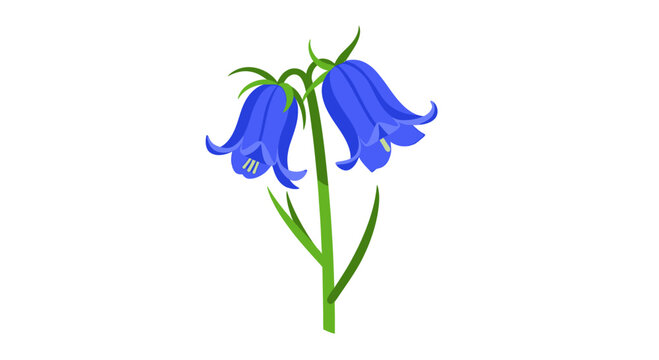 Two bluebell flowers with green stems, vibrant and elegant.