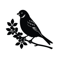 bird on a sparrow of tree