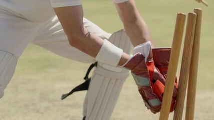 Close Up of Wicket Keeper Hitting the Stumps in 4K Ultra HD | Cricket Match Action, Stumping Moment, Fast Sports Play and Competitive Game Scene - Powered by Adobe