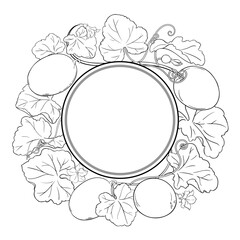 Melon Plant with Flowers, Fruits and Leaves Outline Round Frame. Organic natural nutritional healthy food ingredient, vegetarian diet product. Vector isolated for design or decoration.