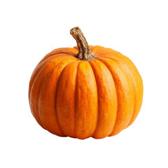 Obraz premium pumpkin patchb isolated on with white background