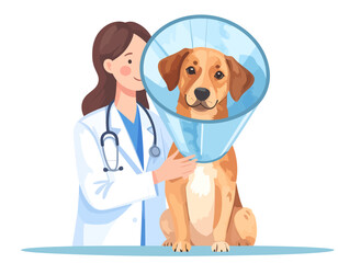 Veterinarian examining a dog wearing a protective cone collar.
