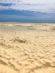 Golden beach in the Indian Ocean, shallow shore, low tide in the ocean, Zanzibar, Tanzania. High quality