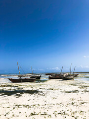 Fishing on wooden boats, catching fish with a net, working on the water in the ocean, Indian Ocean,...