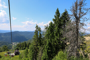 A magnificent view of a mountain slope with a chairlift descending and dense coniferous forests....