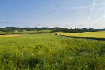 Obraz premium 자연 목초 경작 녹색 들판 하늘 구름 아웃도어