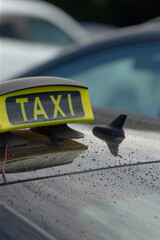 A detailed view of a taxi sign mounted on a car's rooftop, showcasing its vibrant colors and...