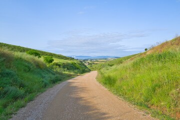 자연 목초 경작 녹색 들판 하늘 구름 아웃도어