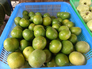 Green lime fruit in plastic basket fresh citrus with subtle shine and natural blemish, vibrant market produce display evoking freshness