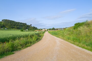 자연 목초 경작 녹색 들판 하늘 구름 아웃도어