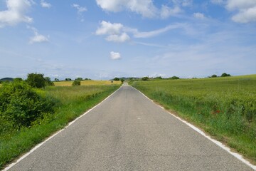 자연 목초 경작 녹색 들판 하늘 구름 아웃도어
