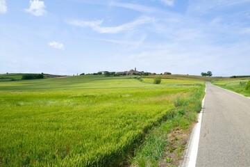 자연 목초 경작 녹색 들판 하늘 구름 아웃도어