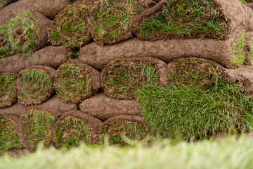 Freshly rolled sod ready for landscaping projects in a garden center during daylight hours