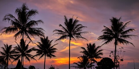 Peaceful Tropical Sunset with Silhouetted Coconut Palm Trees and Vivid Sky Colors