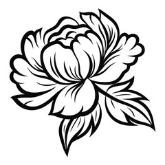 A delicate flower outline with detailed leaf patterns creates a striking botanical image