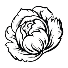 A simple black and white line drawing of an elegant peony flower stands beautifully