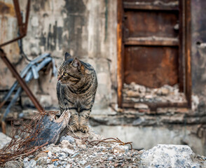 ruined street and destroyed houses in Kiev war in Ukraine
