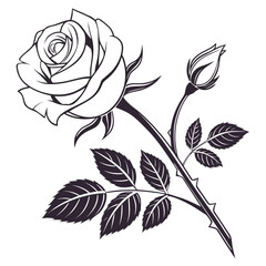 Elegant black and white illustration of a blooming rose with a bud and detailed leaves on a white background