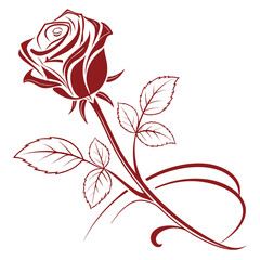 Elegant dark red rose with swirling decorative vine and leaves on a clean white background