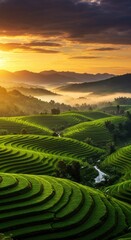 Lush Green Rice Terraces at Sunrise with Misty Mountains