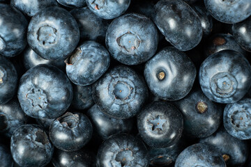 Macro View of Organic Blueberries. Natural Berry Background.