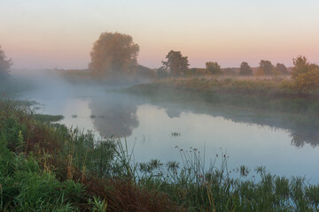 morning mist on the river with green grass 