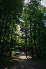Lookout tower in the forest