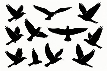 Obraz premium Soaring Silhouette: A captivating black and white illustration presents an artistic study of birds in flight, creating a dynamic and elegant display.