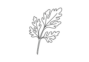 Carrot leaf drawing. It is a line art sketch of a carrot leaf, also known as carrot greens or fronds, featuring a delicate, fern-like appearance. Vector sketch line art draw.