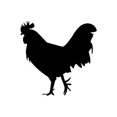 Vector black silhouette of a rooster on a white background