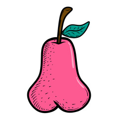 handdrawn water guava